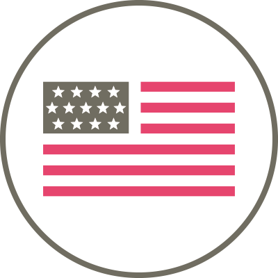 usa badge