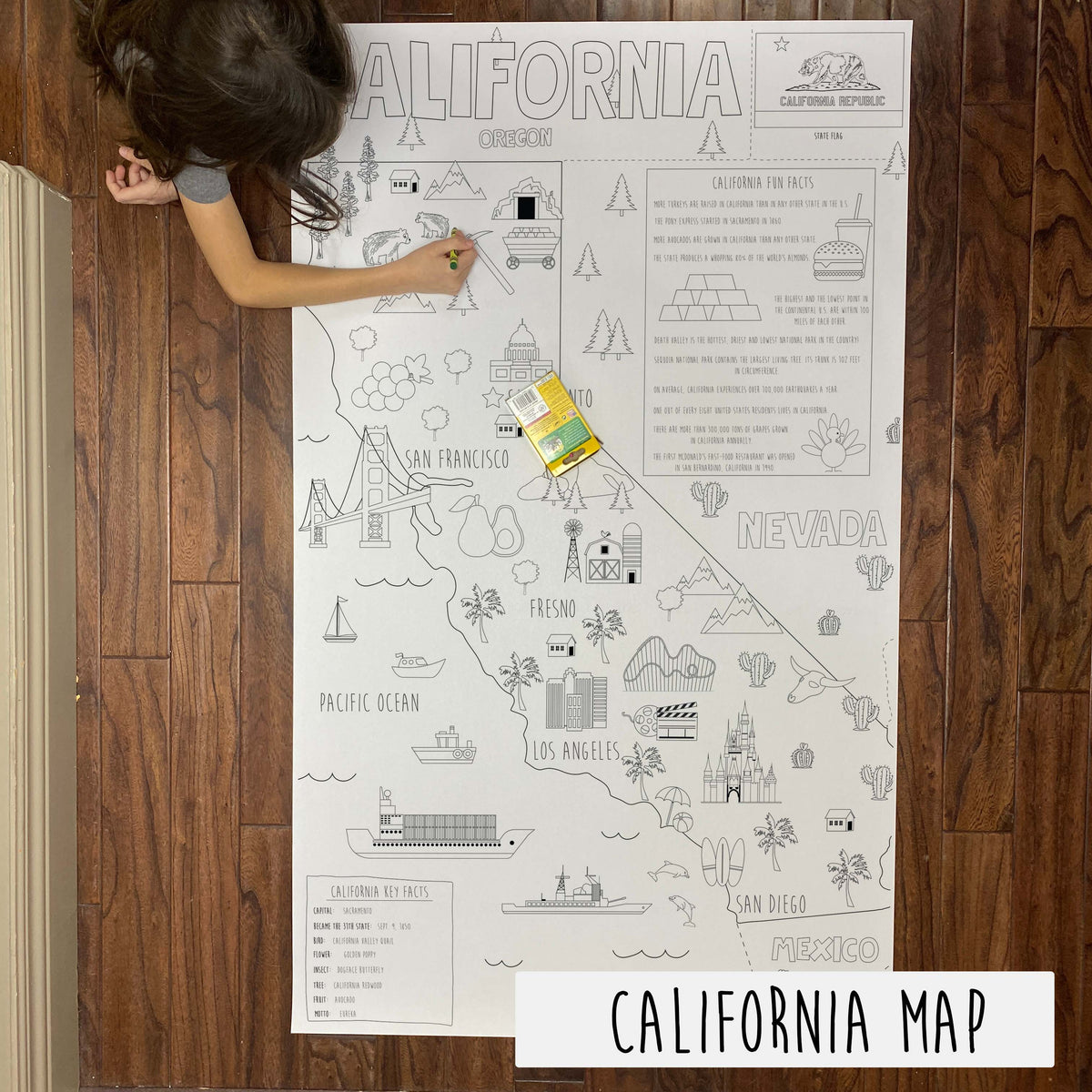 Child coloring the California state giant coloring map on a wood floor