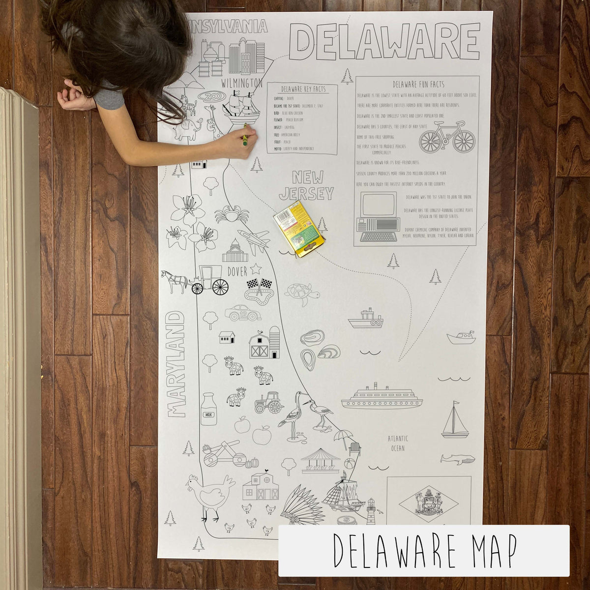 Child coloring the Delaware state giant coloring map on a wood floor