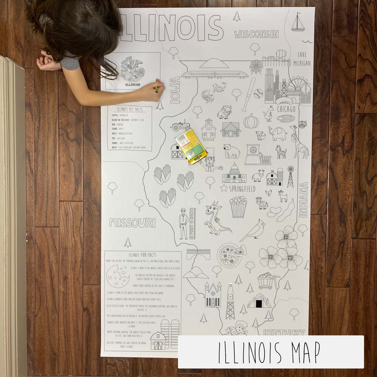 Illinois giant 30x50 state coloring map