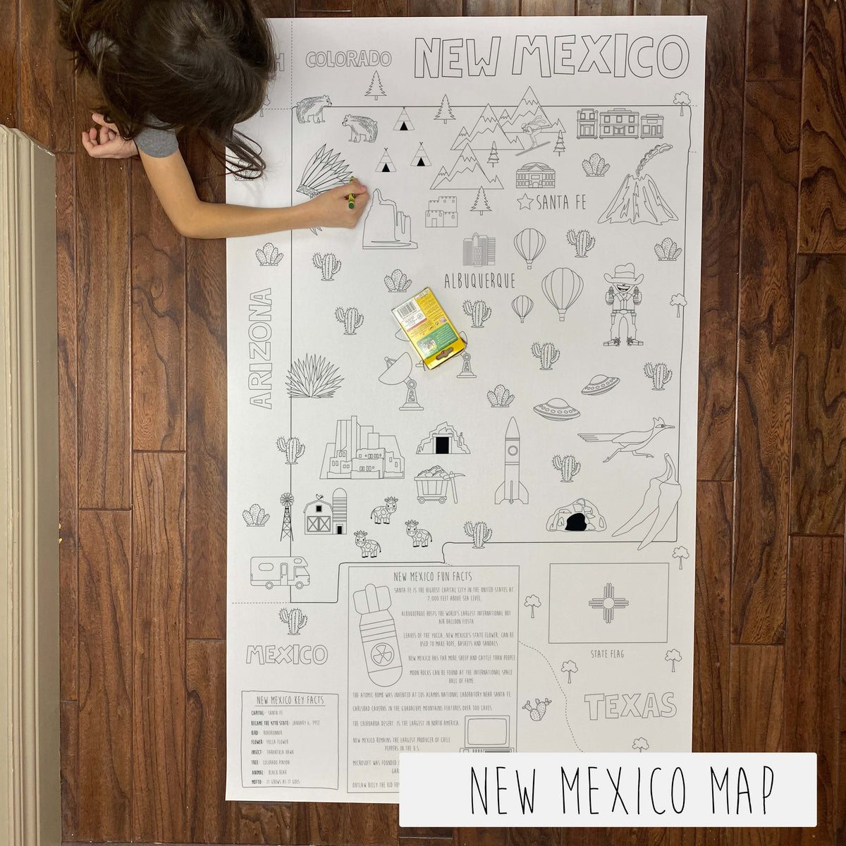 New Mexico giant 30x50 state coloring map