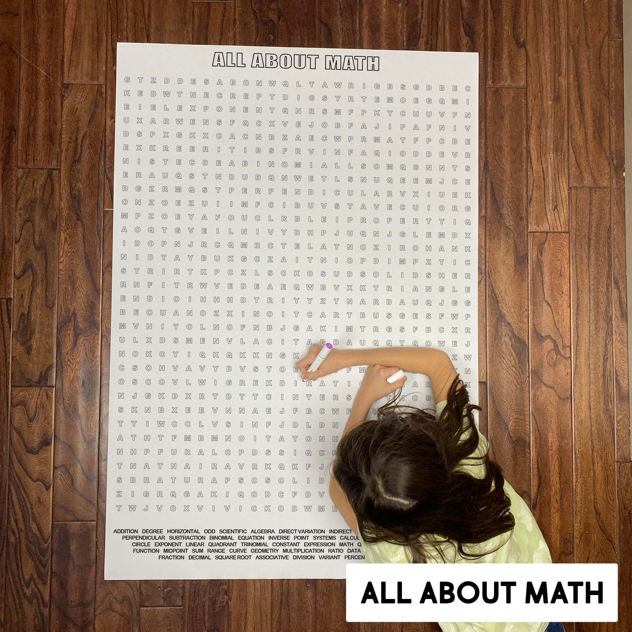 All About Math Word Search