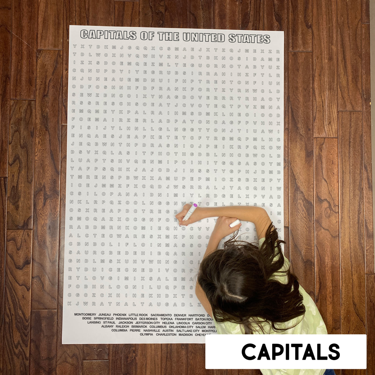Capitals of The United States Giant Word Search Puzzle