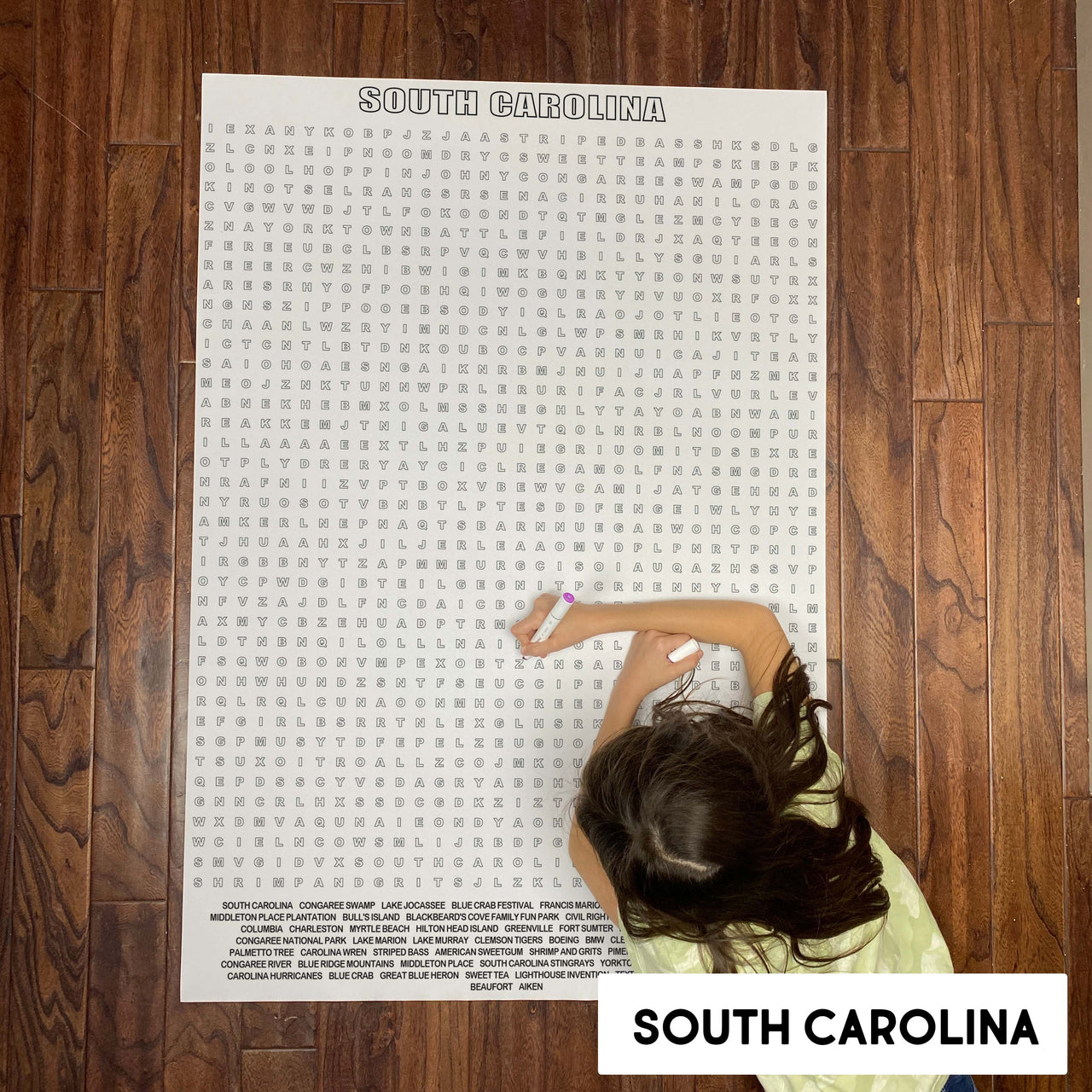 South Carolina State Giant Word Search Puzzle