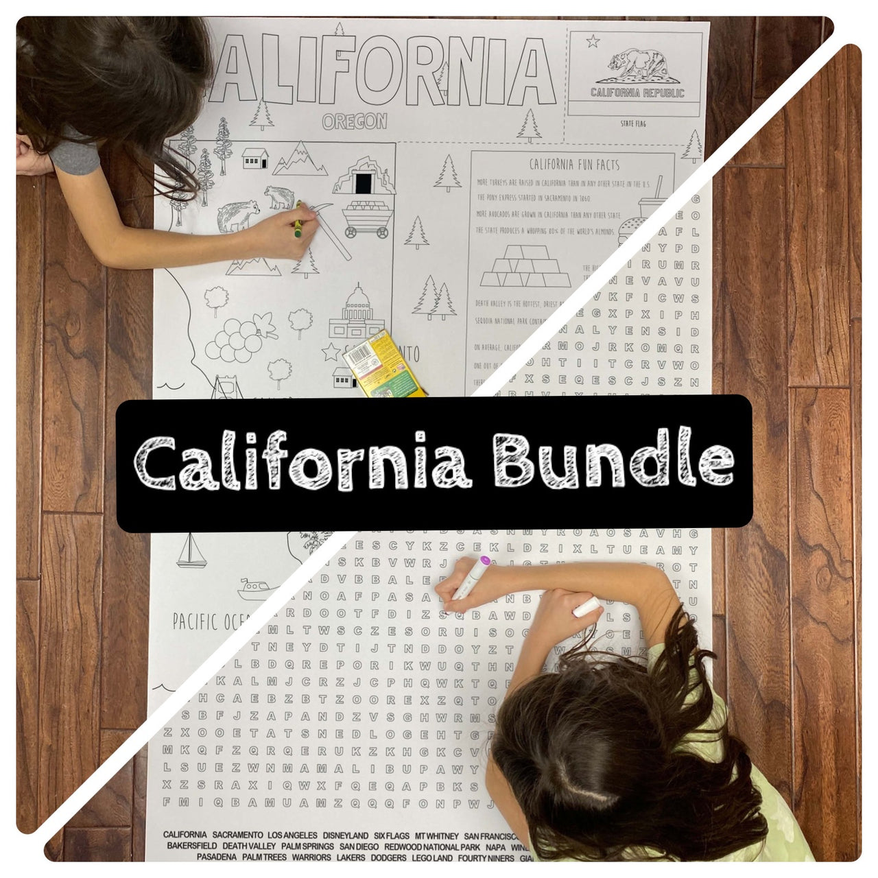 California State BUNDLE Coloring and Word Search