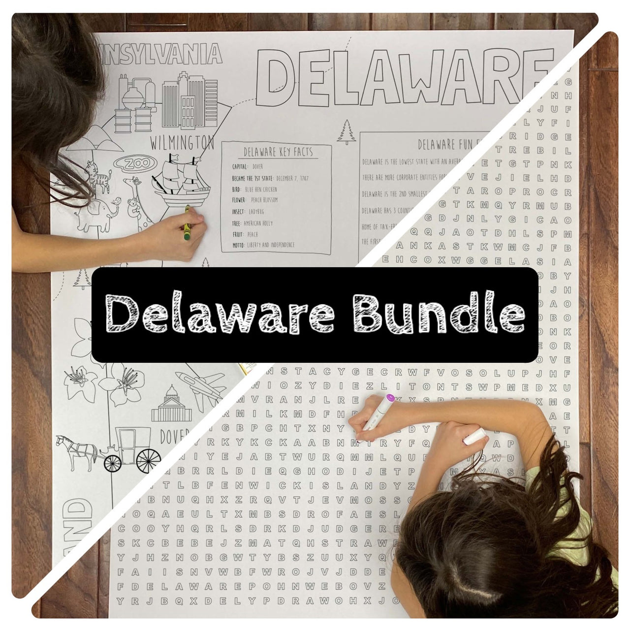 Delaware State BUNDLE Coloring and Word Search