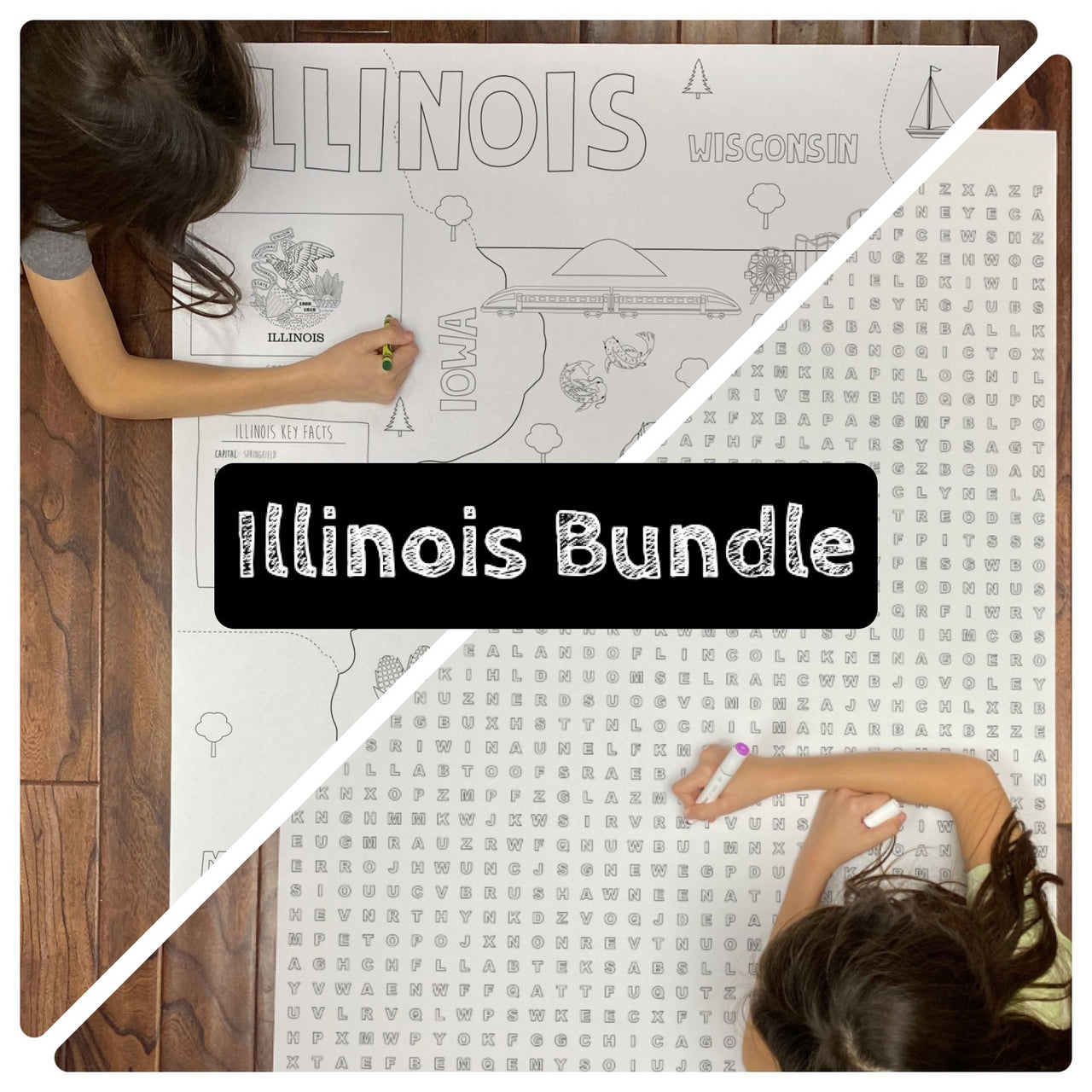 Illinois State BUNDLE Coloring and Word Search