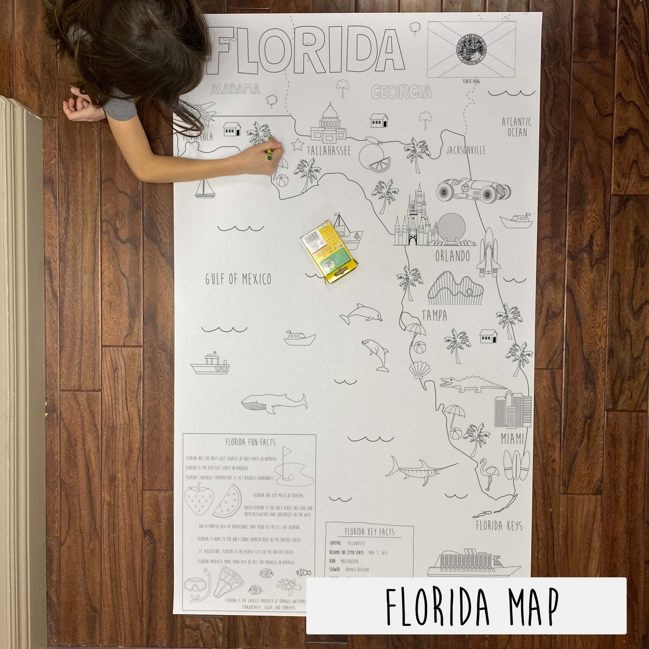 Florida State Map Coloring Sheet